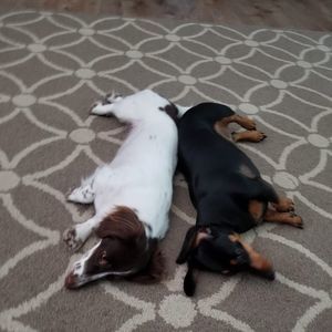 Meet your Posher, Carla